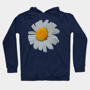 Daisy: Natural Mandala Hoodie